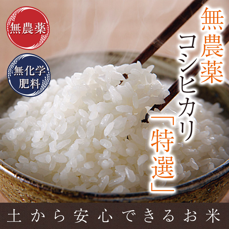 無農薬白米❤️玄米２０キロ分