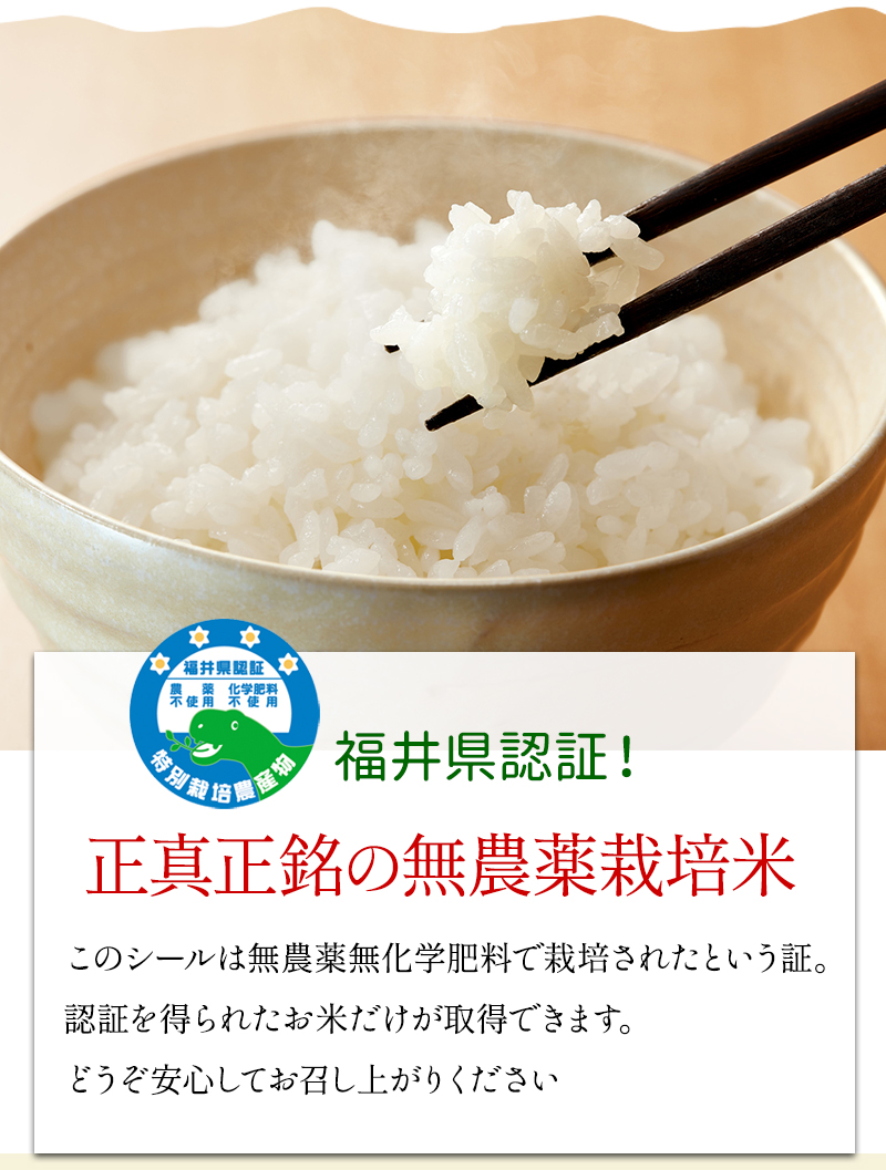 くず米　玄米