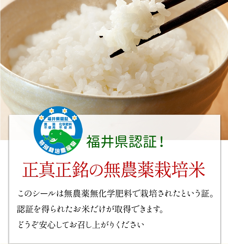 a【丹後米／新米】有機肥料使用／自然農法／お米☆コシヒカリ／２０