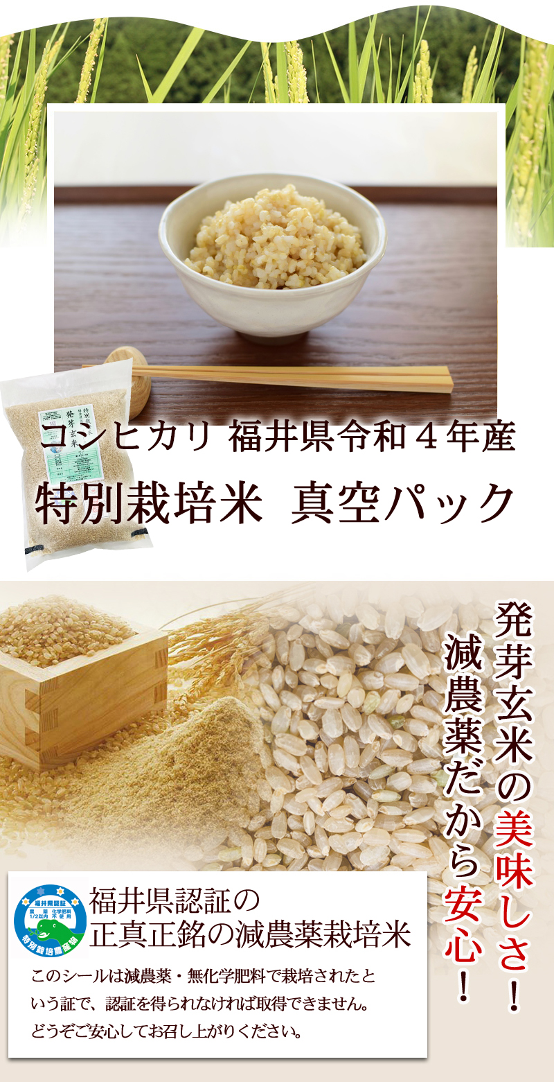 発芽玄米 減農薬・無化学肥料 コシヒカリ 令和4年福井県産 特別栽培米