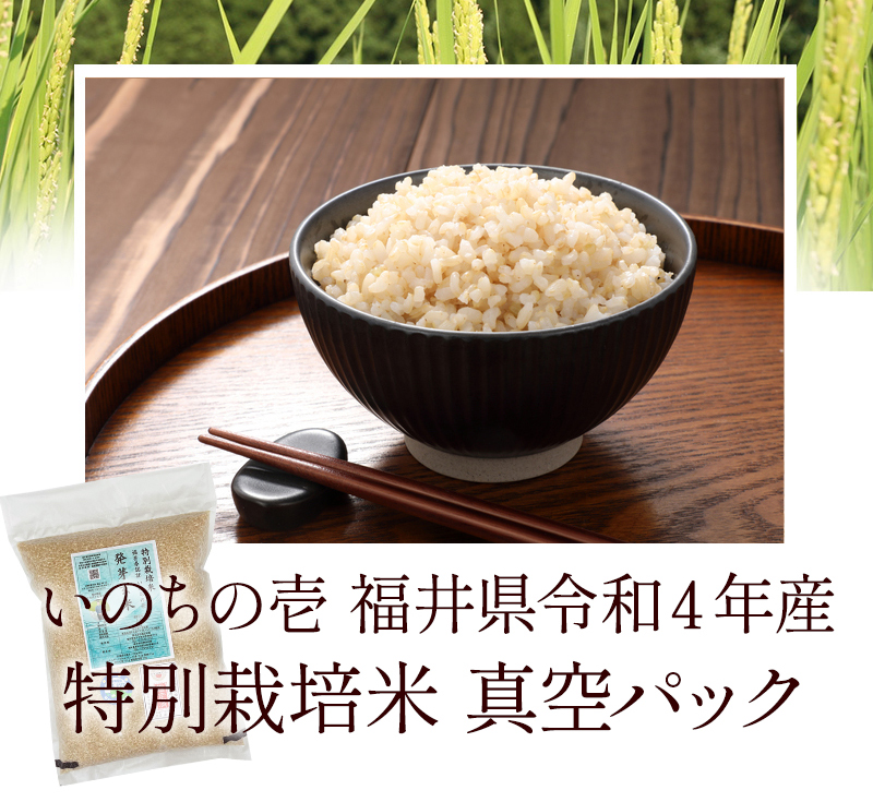 減農薬のいのちの壱　玄米