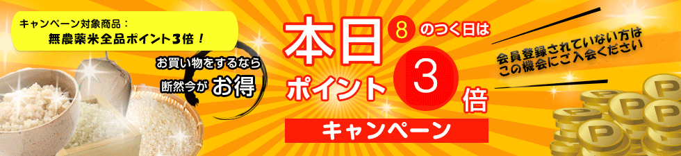 無農薬・無化学肥料栽培ミルキークイーン匠の田んぼ 7月16日