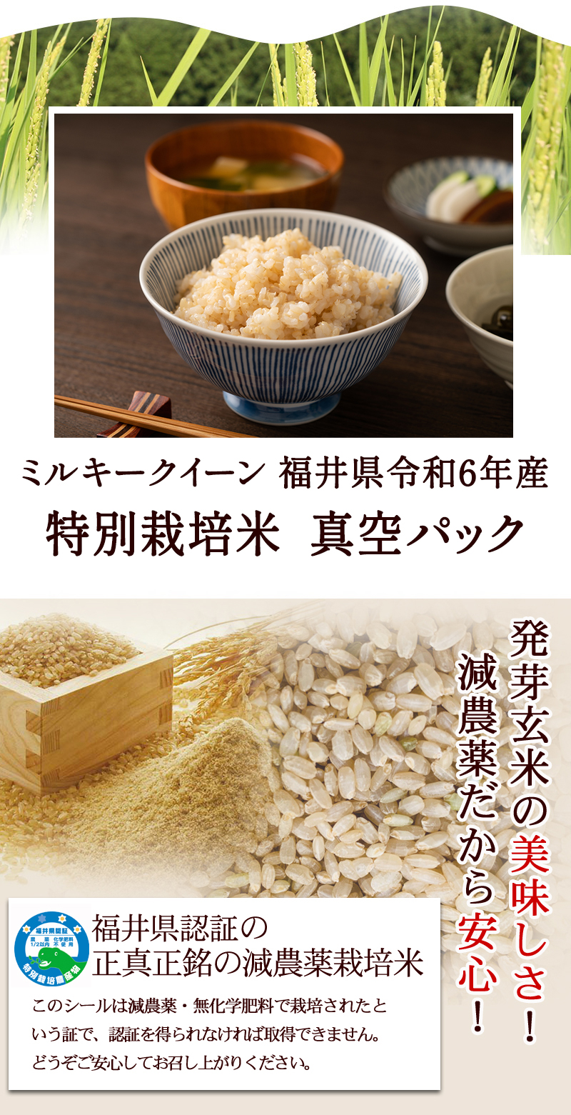 発芽玄米 減農薬・無化学肥料 ミルキークイーン 福井県令和6年産 特別栽培米 真空パック 福井県認証の正真正銘の無農薬栽培米