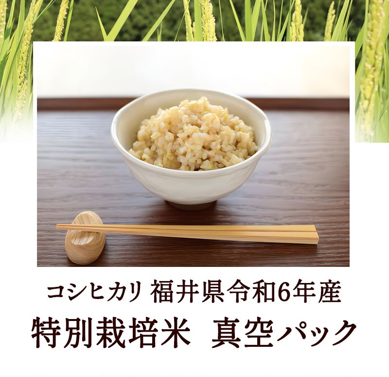 新米入荷】 発芽玄米 コシヒカリ 残留農薬ゼロ 無洗米 令和6年福井県産 特別栽培米 真空パック※もっちりで甘く豊かな旨味  食物繊維・ビタミンB群・ミネラル・GABAが豊富 | ふくい味覚倶楽部