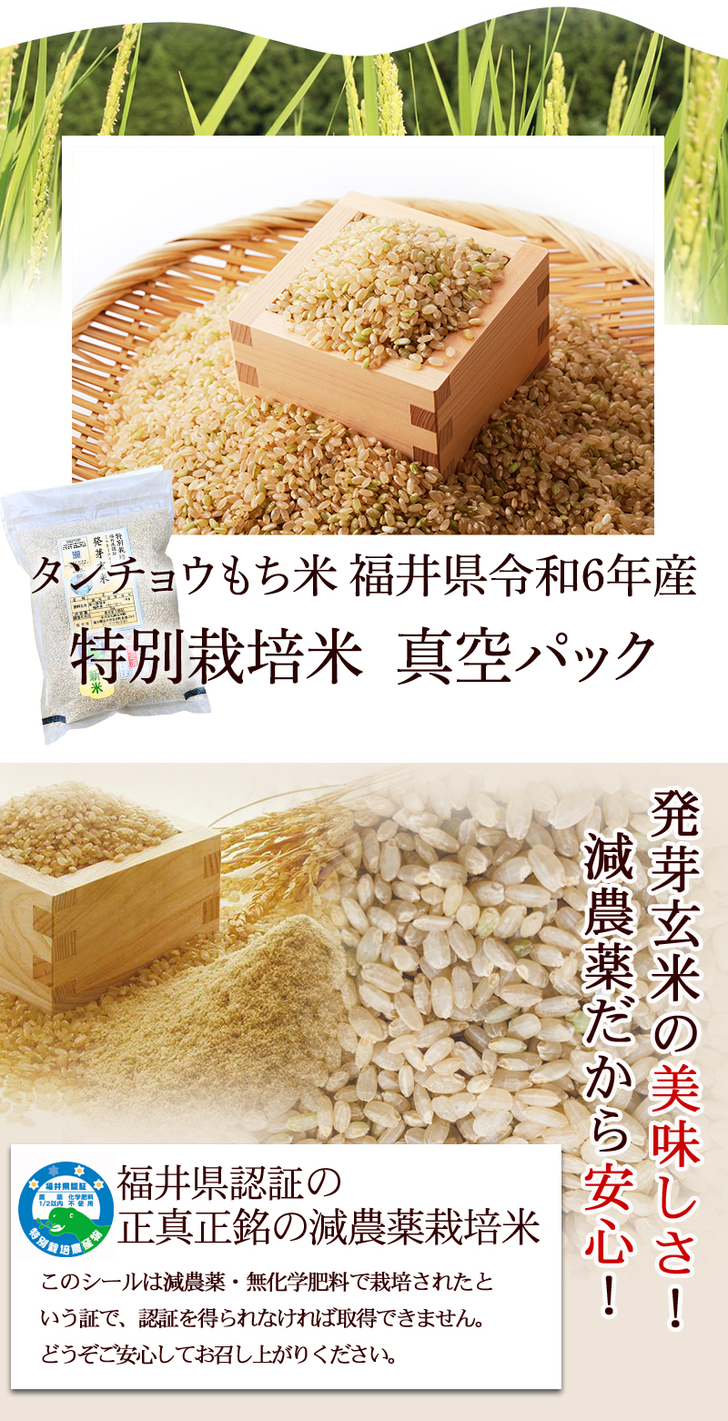 発芽玄米 減農薬・無化学肥料 タンチョウもち米 福井県令和6年産 特別栽培米 真空パック 福井県認証の正真正銘の減農薬栽培米